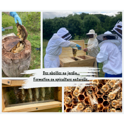 Cours d'apiculture écologique et naturelle - perfectionnement