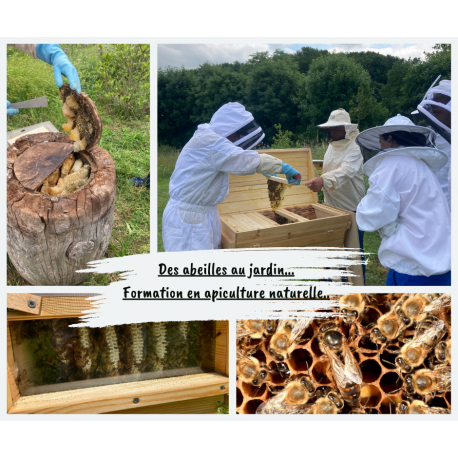 Cours d'apiculture écologique et naturelle - perfectionnement