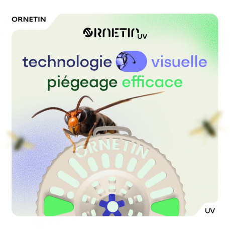 PIEGE A FRELON ORNETIN NOUVEAU MODELE