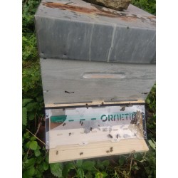 Muselière Anti-Frelon Asiatique – Ornetin