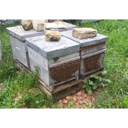 extracteur à miel Tetra 9 cadres de hausses dadant