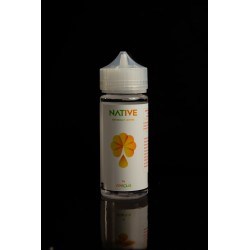 Vaporisateur Apisolis : alternative à l'enfumoir