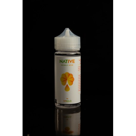 Vaporisateur Apisolis : alternative à l'enfumoir