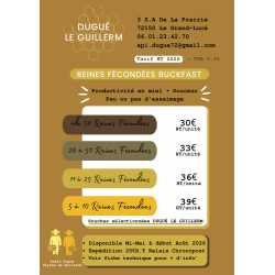 Reines F1 Buckfast 2026 marquées contrôle de la ponte