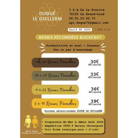 Reines F1 Buckfast 2026 marquées contrôle de la ponte