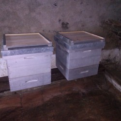 vends 2 ruches Dadant 12 cadres