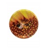 CAPSULE TO 63FLEUR JAUNE 1430 caps /carton